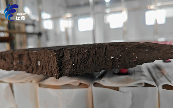 青島仕駿-污泥調(diào)理劑,污泥脫水增效劑制造商 青島仕駿-污泥調(diào)理劑,污泥脫水增效劑制造商