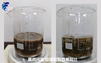 處理醫(yī)藥污泥，選擇哪種污泥調(diào)理劑比較好？-青島仕駿