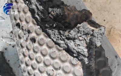 解決帶式機壓泥脫水難題實現(xiàn)污泥深度脫水-青島仕駿