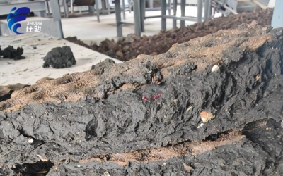 市面污泥調(diào)理劑該如何選擇-青島仕駿