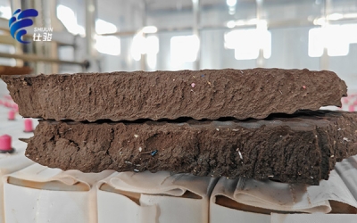 污泥增效劑與傳統污泥處理方法的對比-青島仕駿