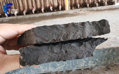 有機質(zhì)含量高時使用污泥增效劑效果如何-青島仕駿