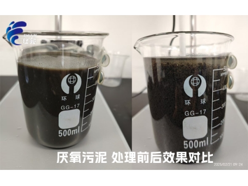 SJC-08型號的污泥增效劑成功"解鎖"厭氧污泥脫水難的問題-青島仕駿