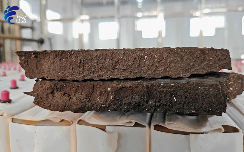 污泥增效劑用于大型污水處理廠